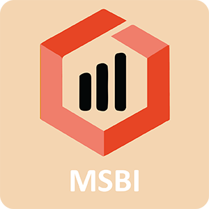 Microsoft Business Intelligence